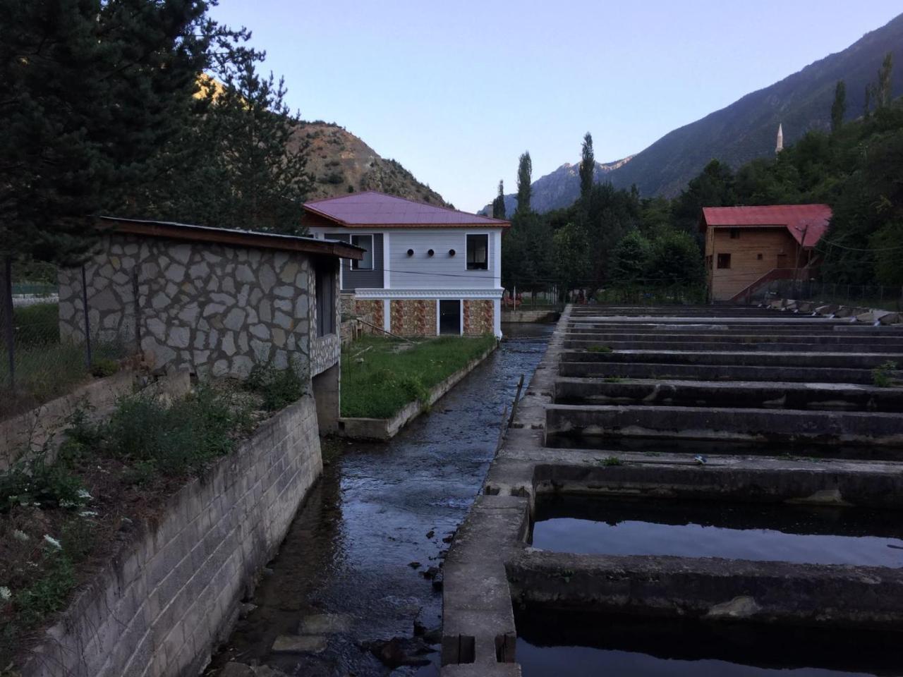 Agara Pansiyon Bostanci Dış mekan fotoğraf