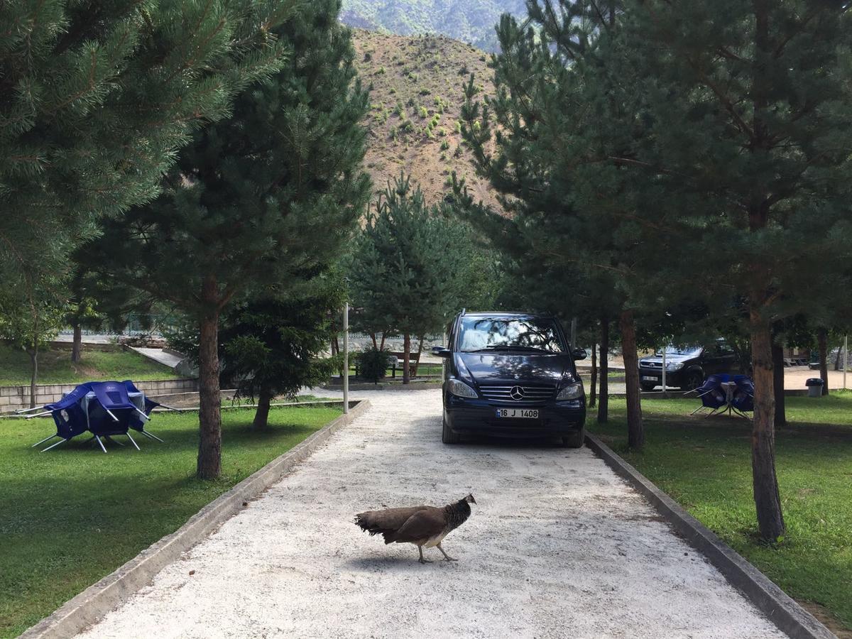 Agara Pansiyon Bostanci Dış mekan fotoğraf