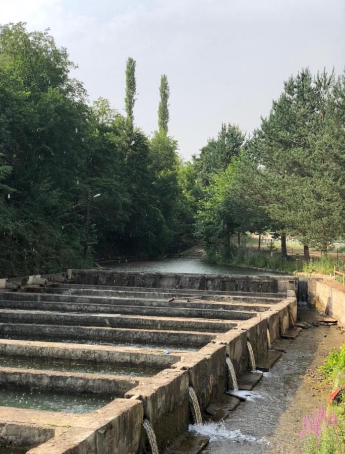 Agara Pansiyon Bostanci Dış mekan fotoğraf